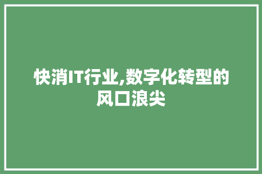 快消IT行业,数字化转型的风口浪尖