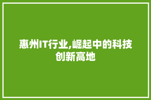 惠州IT行业,崛起中的科技创新高地 服务器/数据库