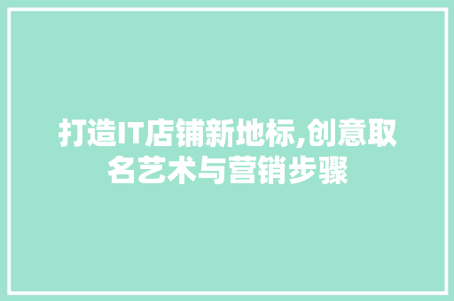 打造IT店铺新地标,创意取名艺术与营销步骤