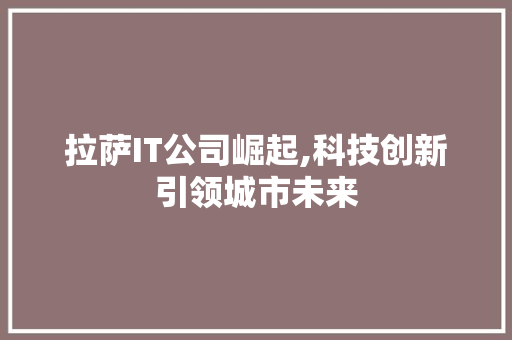 拉萨IT公司崛起,科技创新引领城市未来 SEO教程