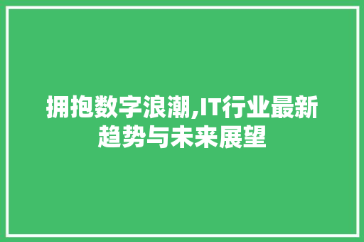 拥抱数字浪潮,IT行业最新趋势与未来展望 建站教程