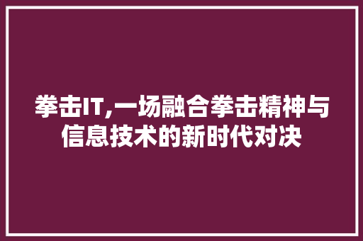 拳击IT,一场融合拳击精神与信息技术的新时代对决 WordPress教程