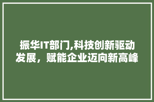 振华IT部门,科技创新驱动发展，赋能企业迈向新高峰 WordPress教程