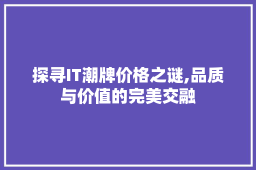 探寻IT潮牌价格之谜,品质与价值的完美交融