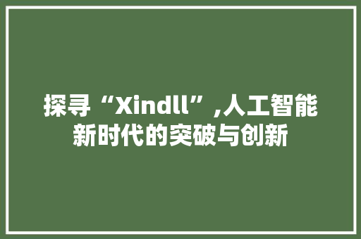 探寻“Xindll”,人工智能新时代的突破与创新 建站教程