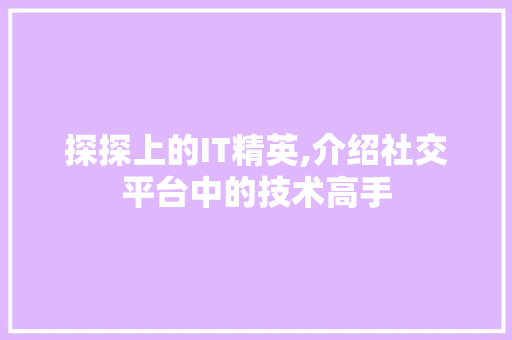 探探上的IT精英,介绍社交平台中的技术高手
