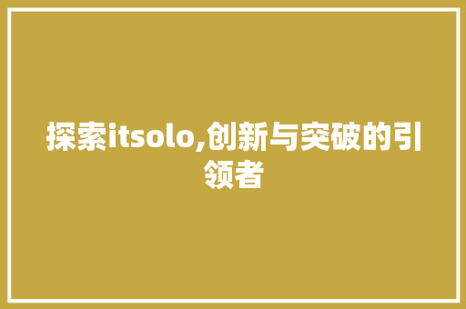探索itsolo,创新与突破的引领者 SEO教程 探索itsolo,创新与突破的引领者 SEO教程
