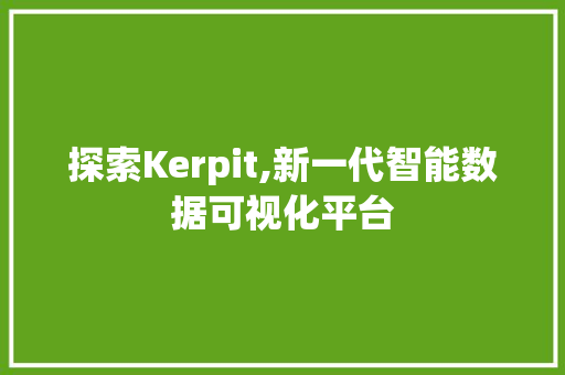 探索Kerpit,新一代智能数据可视化平台 Web前端