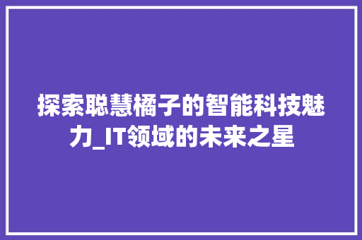 探索聪慧橘子的智能科技魅力_IT领域的未来之星 SEO教程