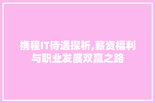 携程IT待遇探析,薪资福利与职业发展双赢之路 友链在线