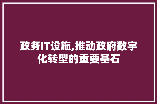 政务IT设施,推动政府数字化转型的重要基石 Web前端