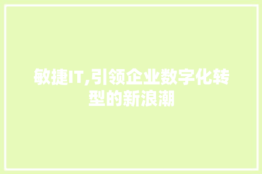 敏捷IT,引领企业数字化转型的新浪潮 WordPress教程