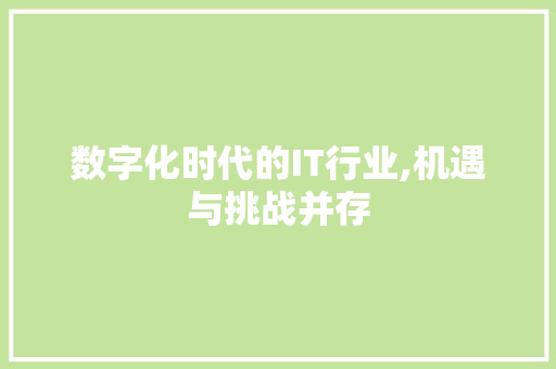 数字化时代的IT行业,机遇与挑战并存