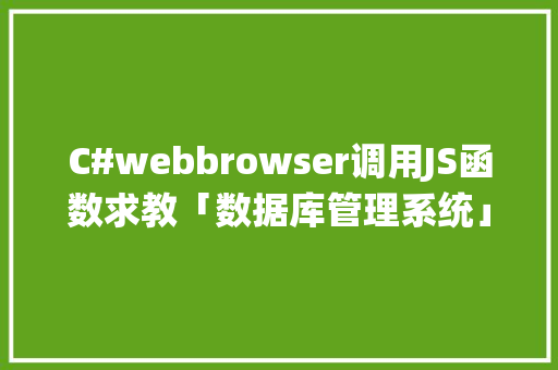 C#webbrowser调用JS函数求教「数据库管理系统」