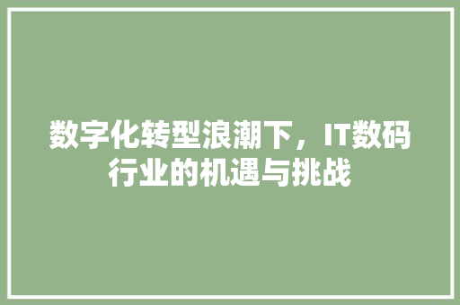 数字化转型浪潮下，IT数码行业的机遇与挑战