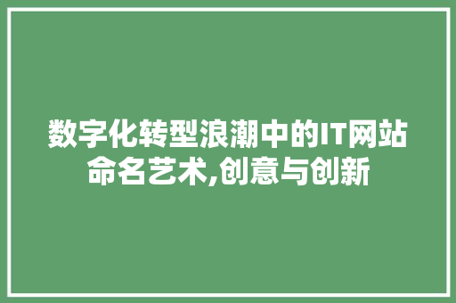 数字化转型浪潮中的IT网站命名艺术,创意与创新