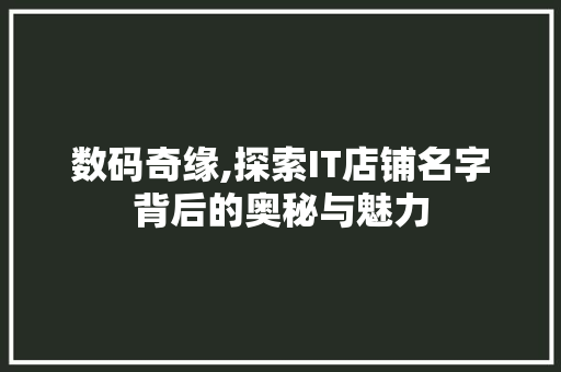 数码奇缘,探索IT店铺名字背后的奥秘与魅力