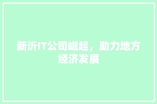 新沂IT公司崛起，助力地方经济发展