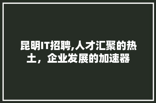 昆明IT招聘,人才汇聚的热土，企业发展的加速器 建站教程