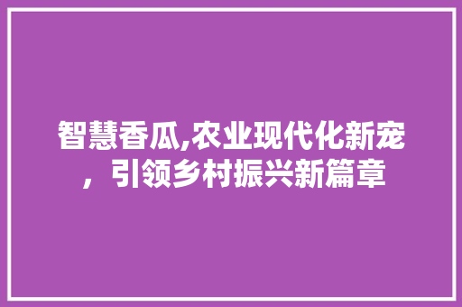 智慧香瓜,农业现代化新宠，引领乡村振兴新篇章