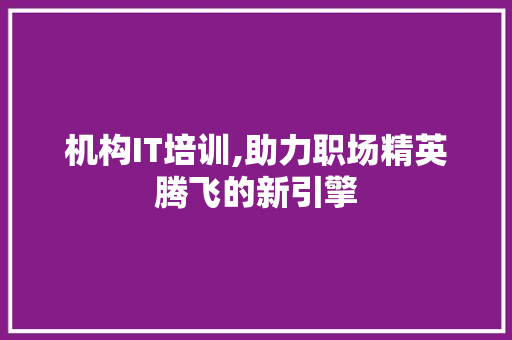 机构IT培训,助力职场精英腾飞的新引擎