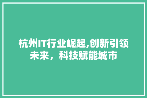 杭州IT行业崛起,创新引领未来，科技赋能城市 服务器/数据库