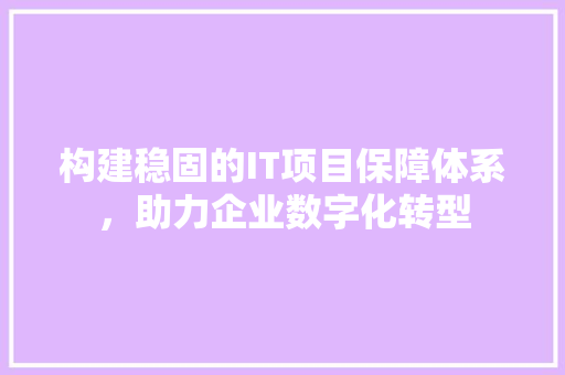 构建稳固的IT项目保障体系，助力企业数字化转型 建站教程