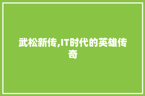 武松新传,IT时代的英雄传奇