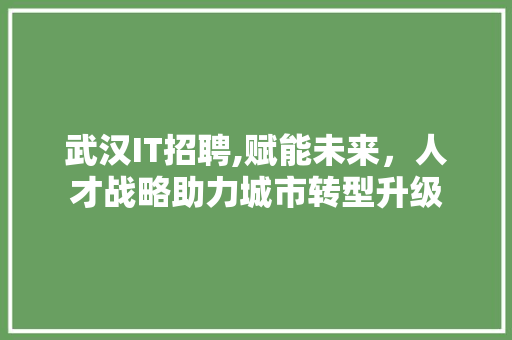 武汉IT招聘,赋能未来，人才战略助力城市转型升级