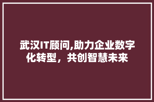 武汉IT顾问,助力企业数字化转型，共创智慧未来