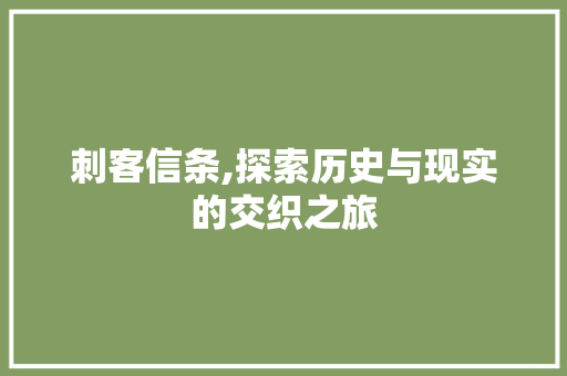 刺客信条,探索历史与现实的交织之旅