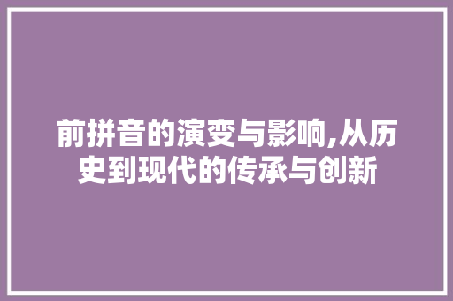 前拼音的演变与影响,从历史到现代的传承与创新