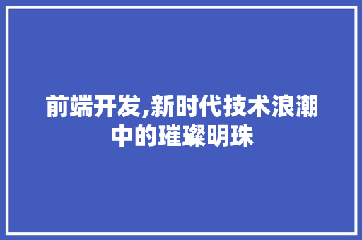 前端开发,新时代技术浪潮中的璀璨明珠