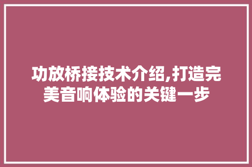 功放桥接技术介绍,打造完美音响体验的关键一步 服务器/数据库