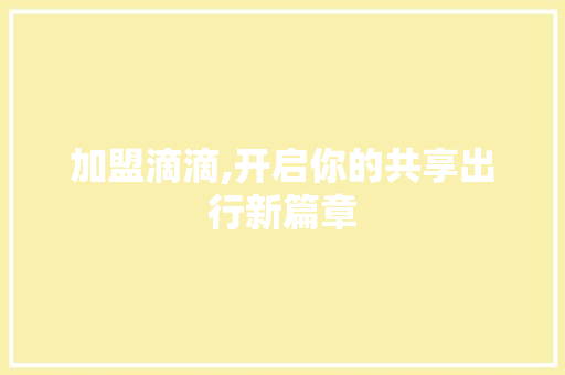 加盟滴滴,开启你的共享出行新篇章 WordPress教程