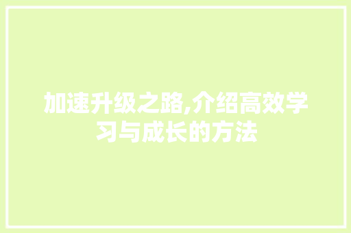 加速升级之路,介绍高效学习与成长的方法 SEO教程