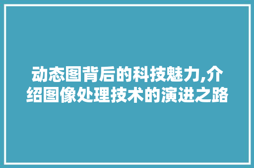 动态图背后的科技魅力,介绍图像处理技术的演进之路 SEO教程