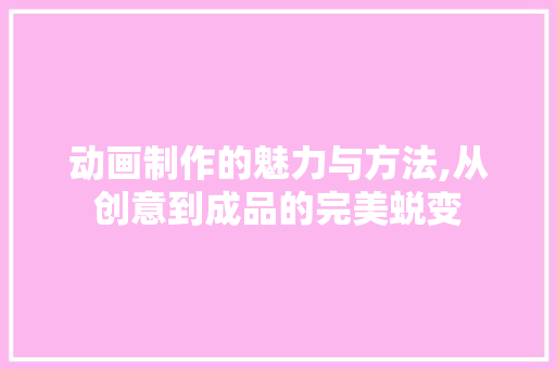 动画制作的魅力与方法,从创意到成品的完美蜕变 服务器/数据库