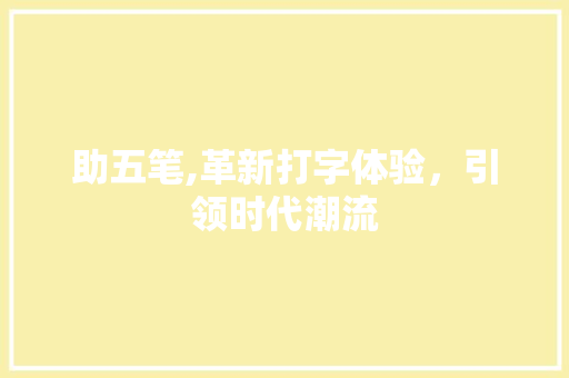 助五笔,革新打字体验，引领时代潮流 SEO教程