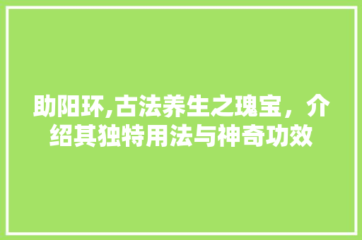 助阳环,古法养生之瑰宝，介绍其独特用法与神奇功效 服务器/数据库