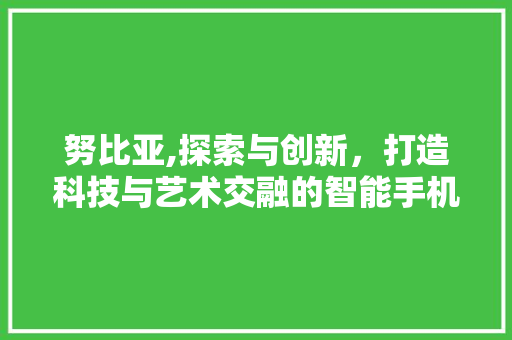 努比亚,探索与创新，打造科技与艺术交融的智能手机新标杆 友链在线