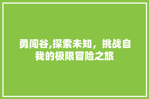 勇闯谷,探索未知，挑战自我的极限冒险之旅
