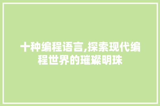 十种编程语言,探索现代编程世界的璀璨明珠