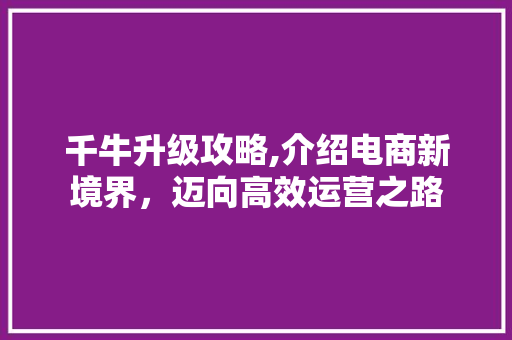 千牛升级攻略,介绍电商新境界，迈向高效运营之路