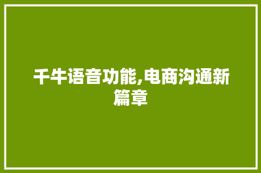 千牛语音功能,电商沟通新篇章 SEO教程