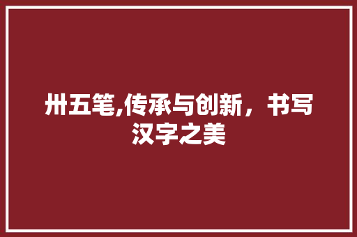 卅五笔,传承与创新，书写汉字之美