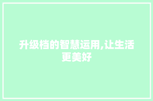升级档的智慧运用,让生活更美好
