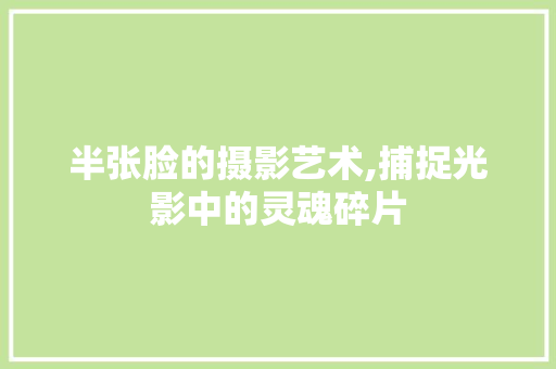 半张脸的摄影艺术,捕捉光影中的灵魂碎片