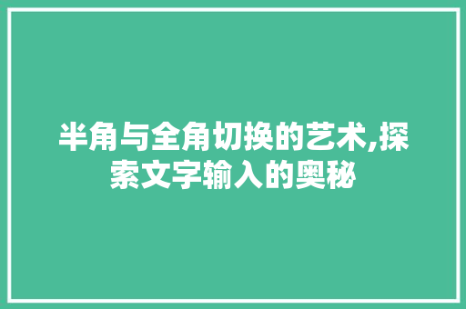 半角与全角切换的艺术,探索文字输入的奥秘