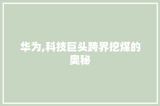 华为,科技巨头跨界挖煤的奥秘 SEO教程